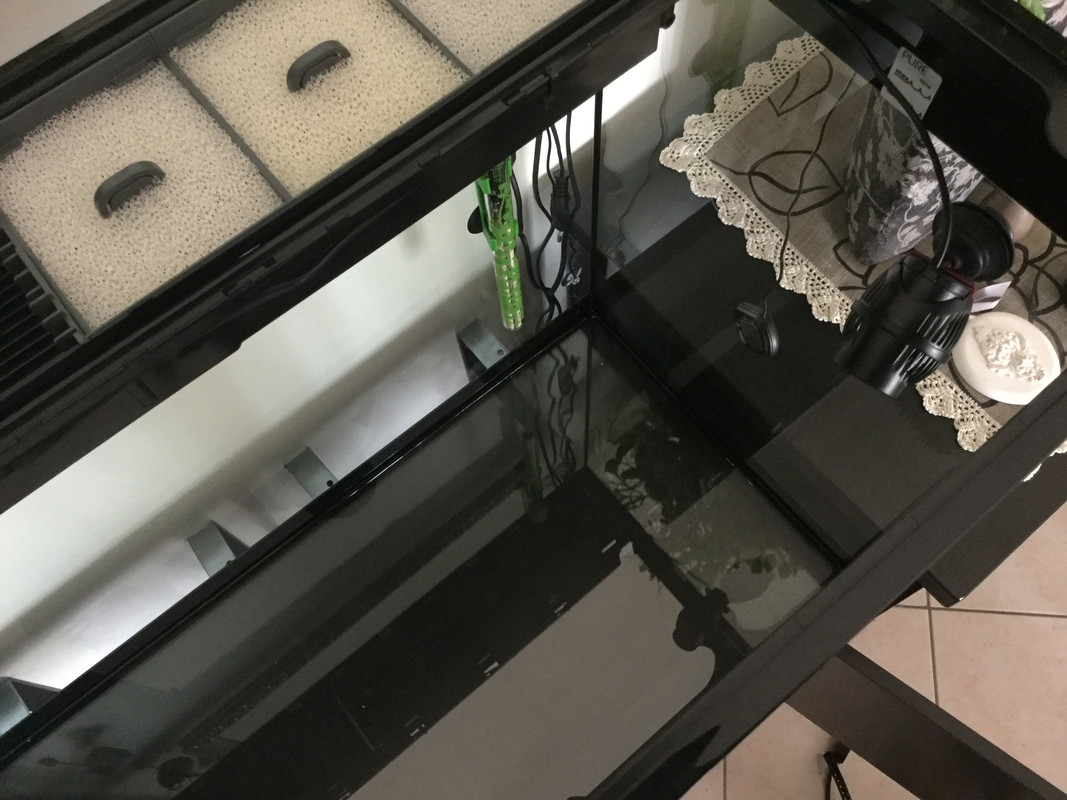 1F667EA3-D529-4A81-A6FE-355142CD5AEA