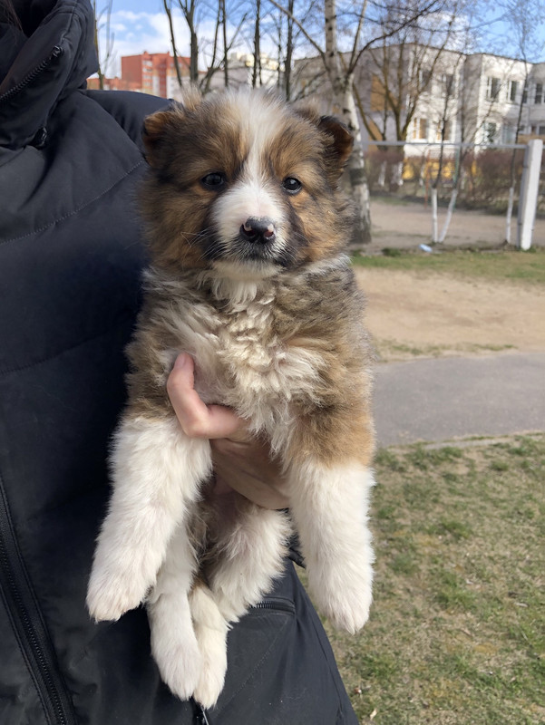 40907C3A-BCB5-451D-96B0-E0C6BD6D3DF3