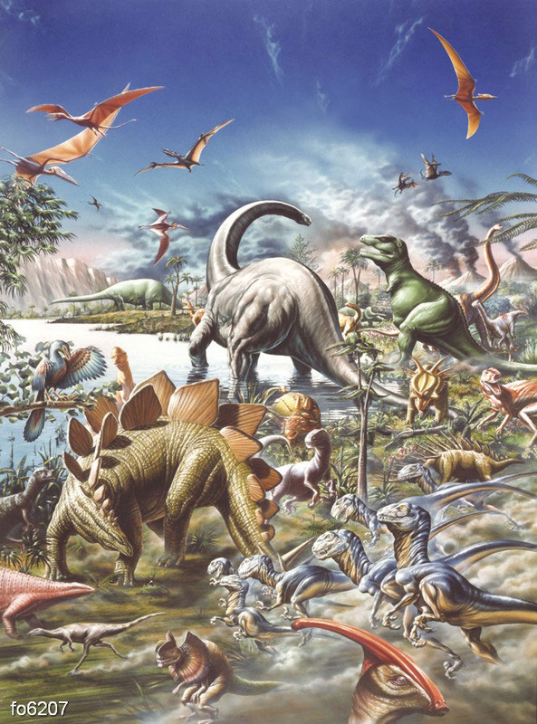 92358becfbc6a6a6296b7886c6f7e2dd