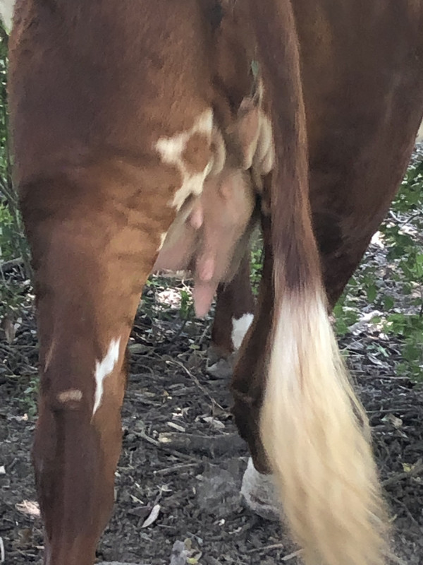 FD8A8B9A-2C65-420E-B2F9-CDEA461824D6