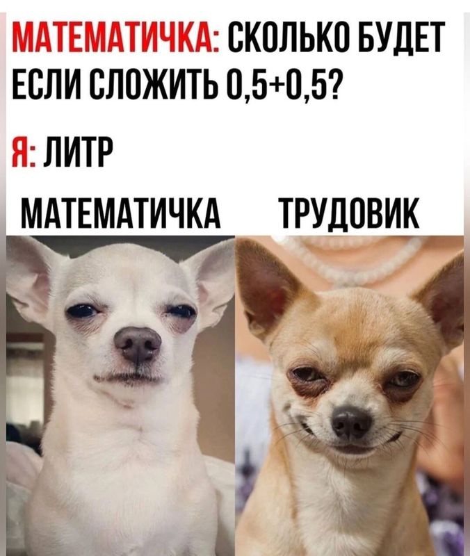 Как на личном как ответить. Ка кответить на вопрс ка кдела. Переписка с мошенником в вк. Как ответь на вопрос как жизнь. Как ответить на вопрос как на личном.