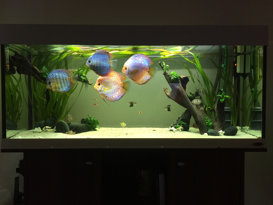 BF649293-70F2-42C6-B7C9-47671F0F3AEE