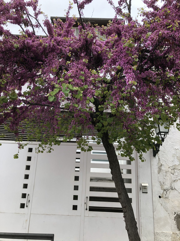 AF8989F0-5401-42CF-A924-F0DDBB249F70