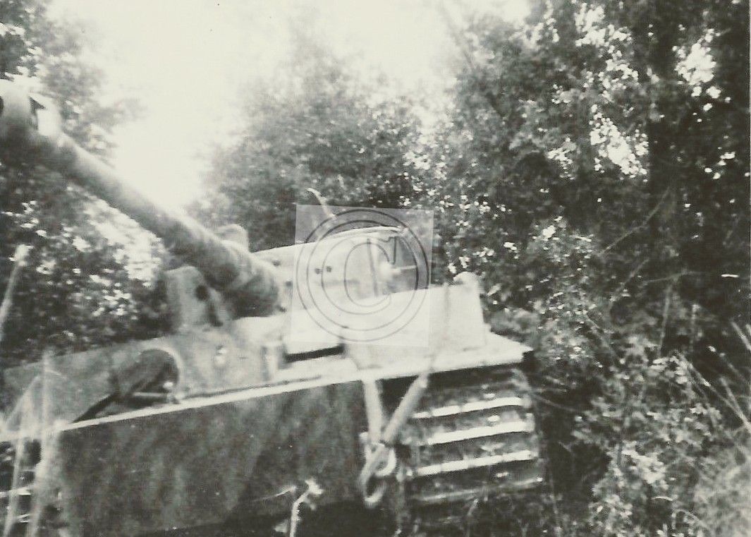 Tiger I from III.Abt of the Pz.Reg.Großdeutschland 1943_083602