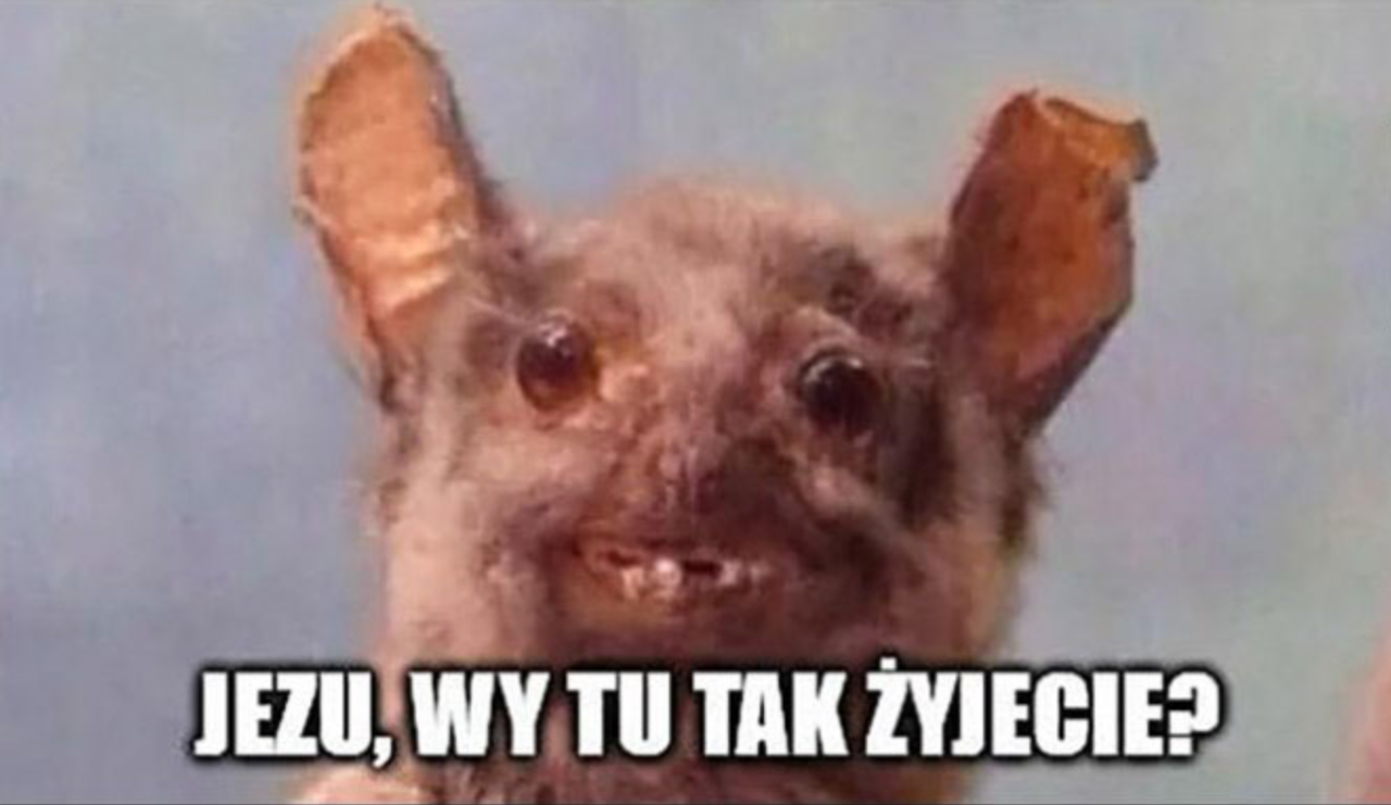 2026-02-21-11-58-37-Adobe-Photoshop-2026