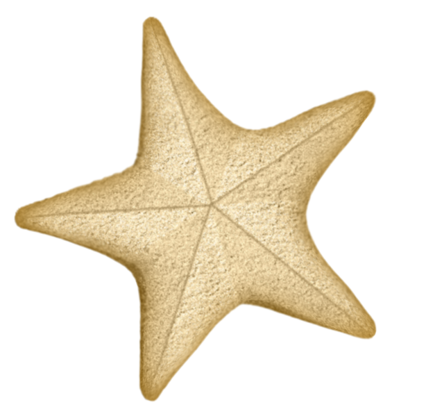 Siempre Libre & Glitters y Gifs Animados Nº354 - Página 63 BBD-LSD-STARFISH-02
