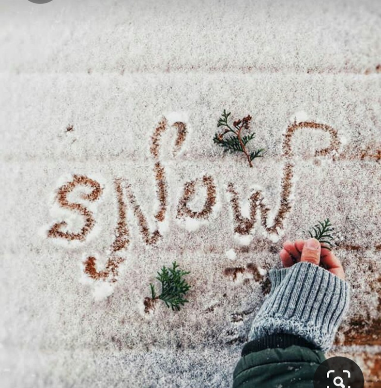 Screenshot_20231102_133434_Pinterest