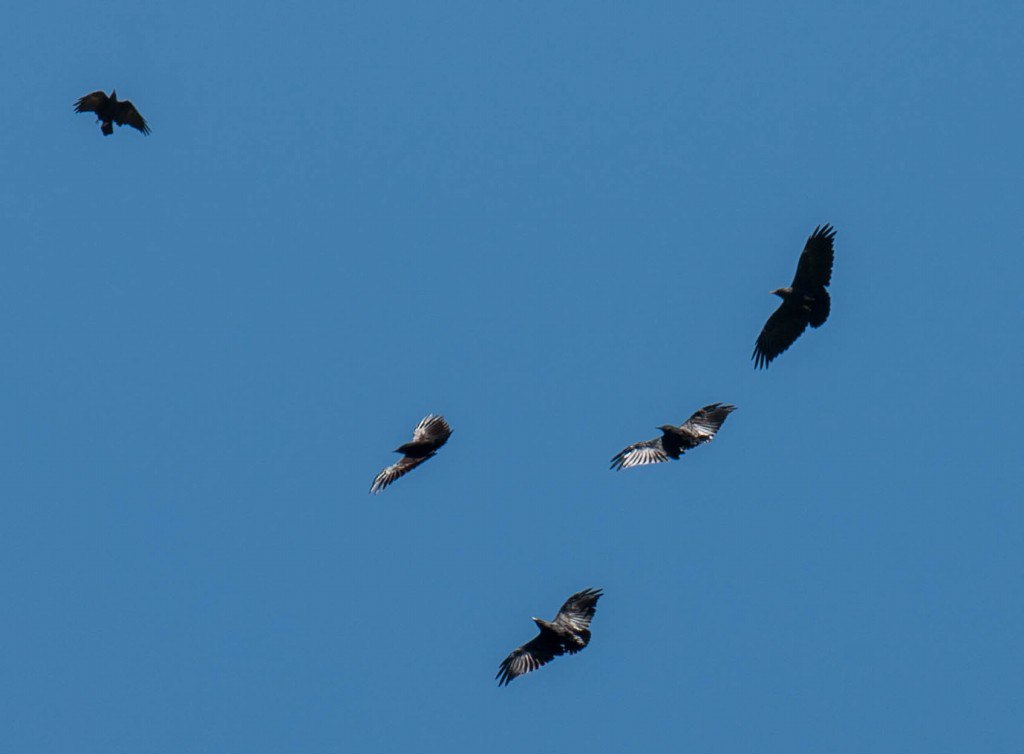 2042E121-2E56-4309-9158-A05E4F8E227B