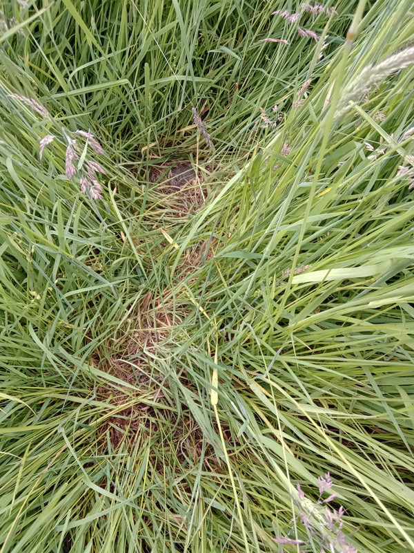 CE094C8D-F55C-4C54-AD99-00ADD135BE8A