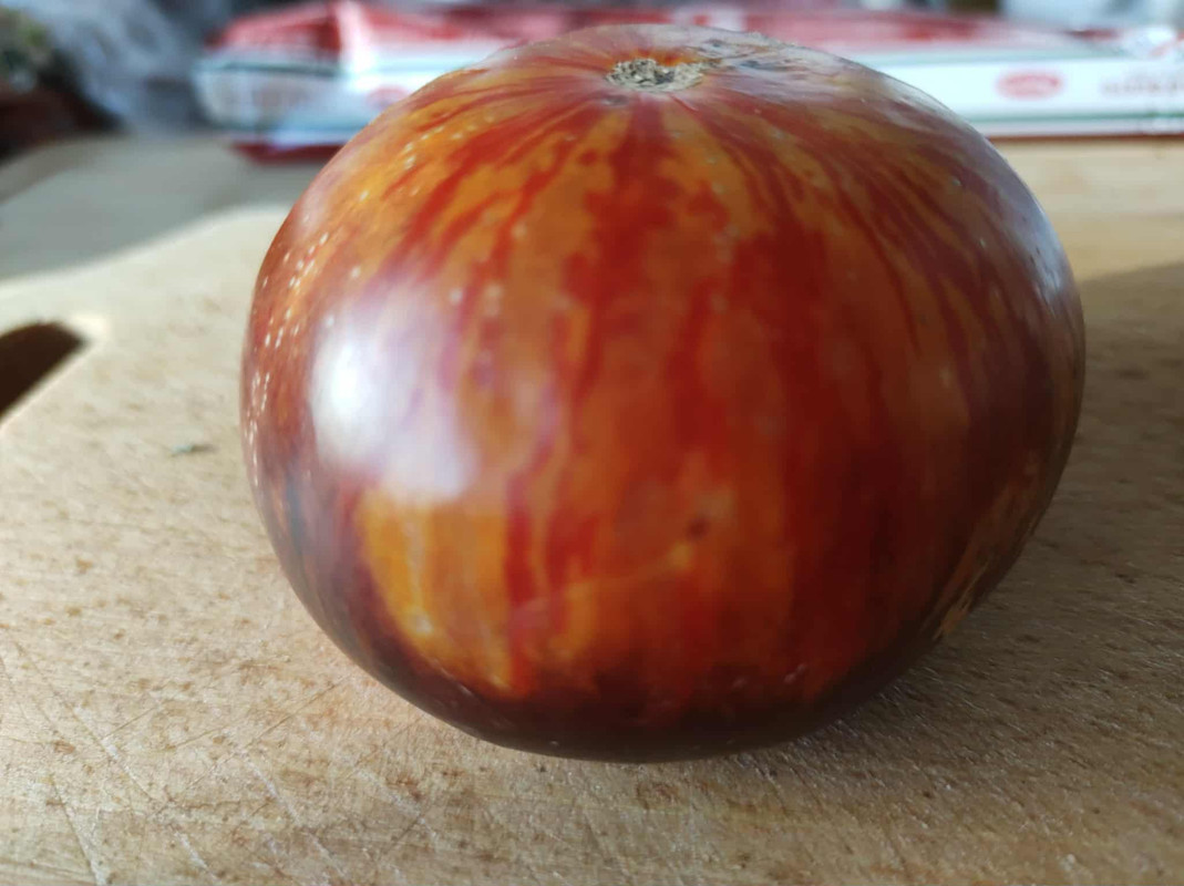 Obrazek