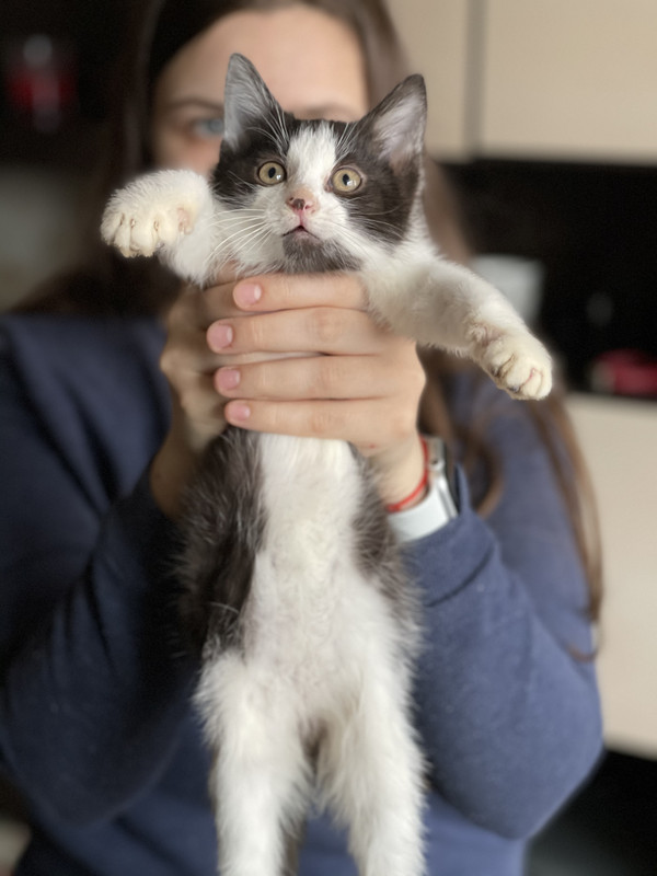 1E027C8C-4C32-468C-B713-890B3BECD1C7