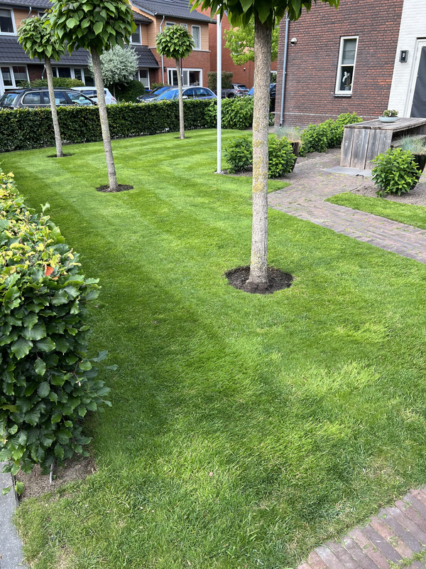 3362EB02-E32B-4AFA-B48B-ECF2D731E531