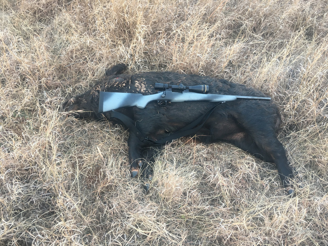 CB9F557B-3C5A-4697-B950-8BEC729B4523