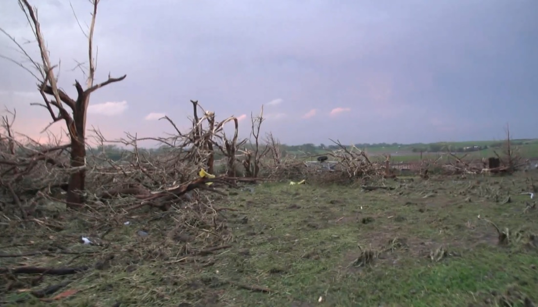 Bennington-damage-trees2.jpg