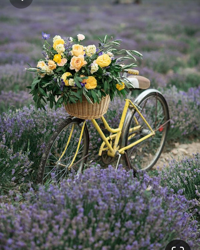 Screenshot_20230614_015006_Pinterest