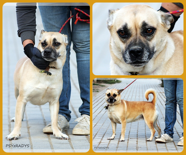 BeFunky-collage (31)