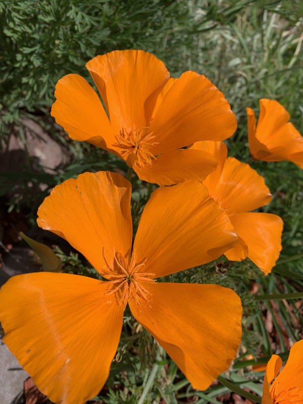 88ADFB00-2EC2-4FF2-A43B-0667C394B951