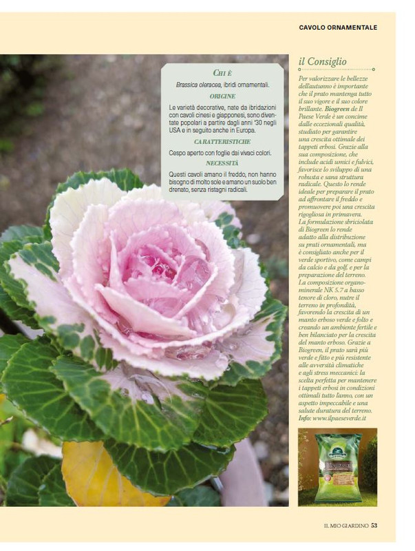 Il Mio Giar Ott-Nov 2024 (10)