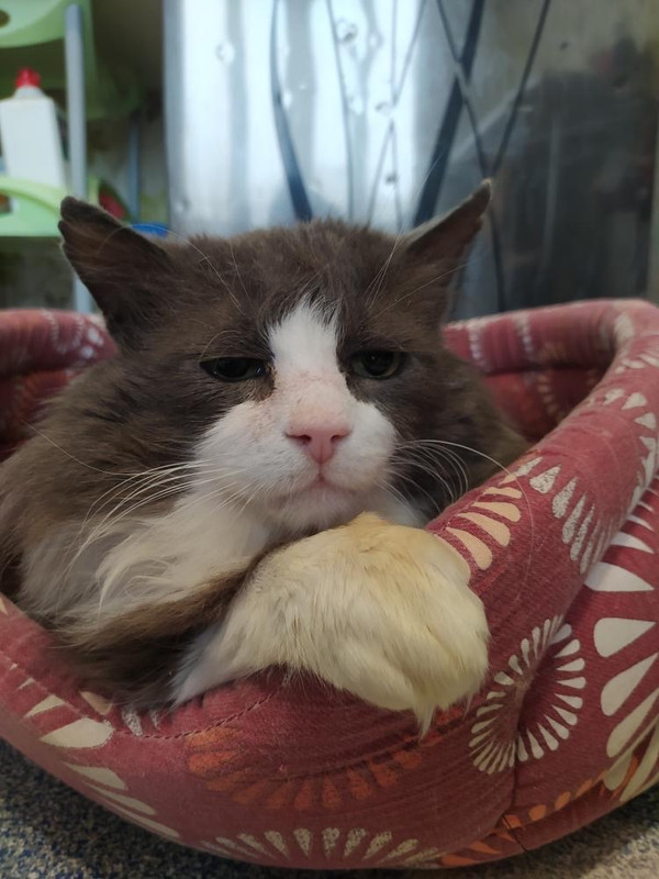 759D65B1-A6BA-4014-B841-D489969BE6C3