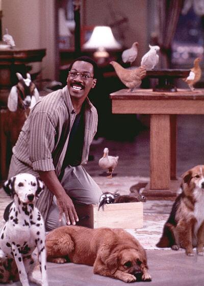 medium_ece91068b8979845954a177f3e4ae1ea