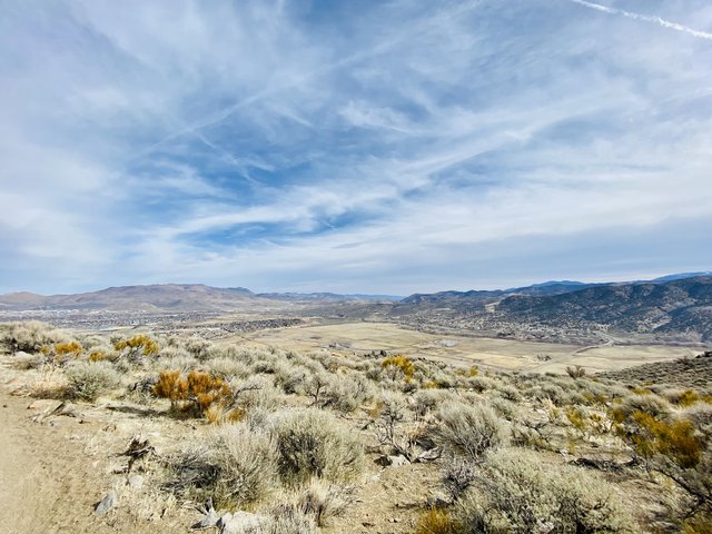 [Image: CDDB13-D4-8-A95-414-E-B255-2-E87-E03-CFDF6.jpg]