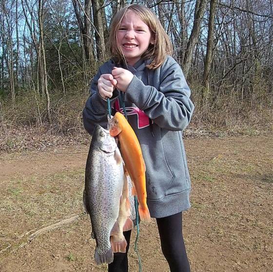 Live Trout Fish for Pond Stocking