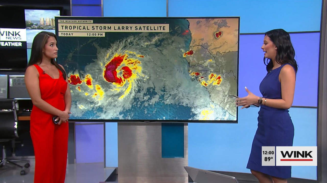09.01 - 17.00.00 - Wink Noon News. Local News, Sports And Weather-1.m4v_snapshot_05.52_[2021.09.01_2