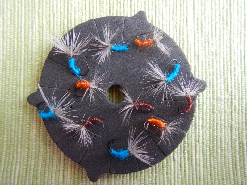 DSCN2095 (800 x 600)