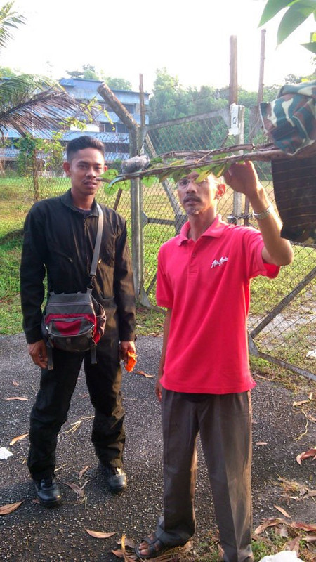 Quarters PGK 280313 (6)