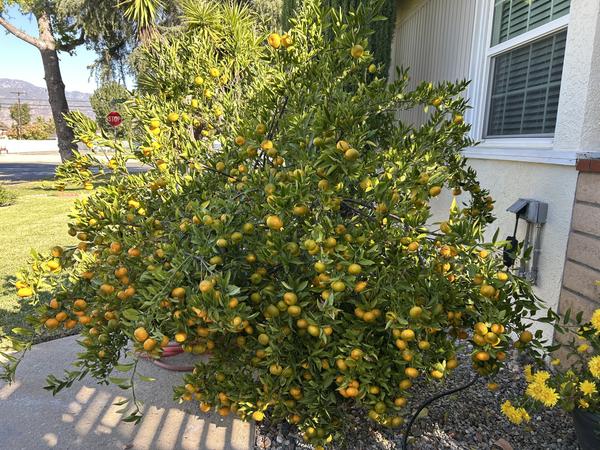 [Image: IMG-1661.jpg]