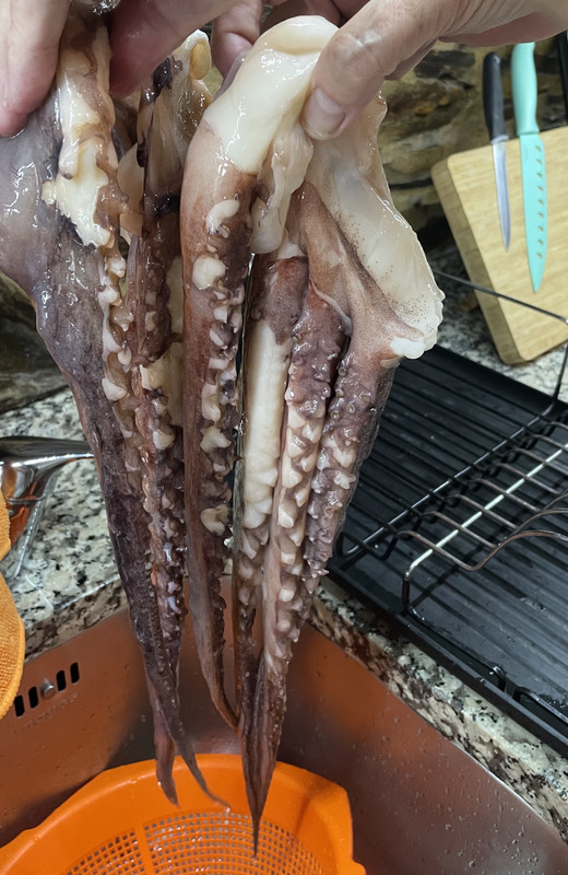 49C7EEC4-21EA-4776-ACB6-FE4C00D31DCE