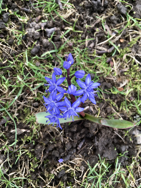 77505EEB-74AB-42EB-B0B4-F5DDF4B5CCF9