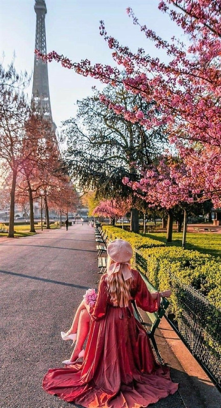 3ad53a0cd6219741f8a818f8b907694d