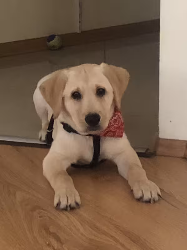 974B8CA2-E8B8-43F9-92CF-35E3AB0B4A7D