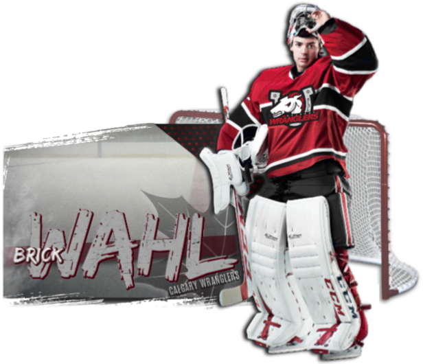 Wahl-CGY-3.png