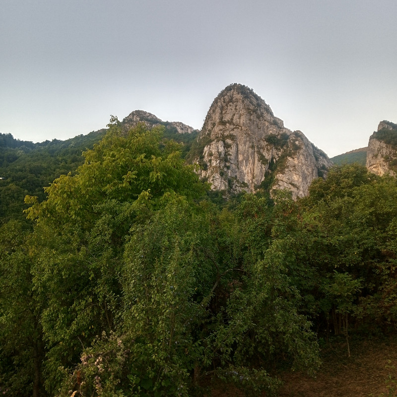 Slika