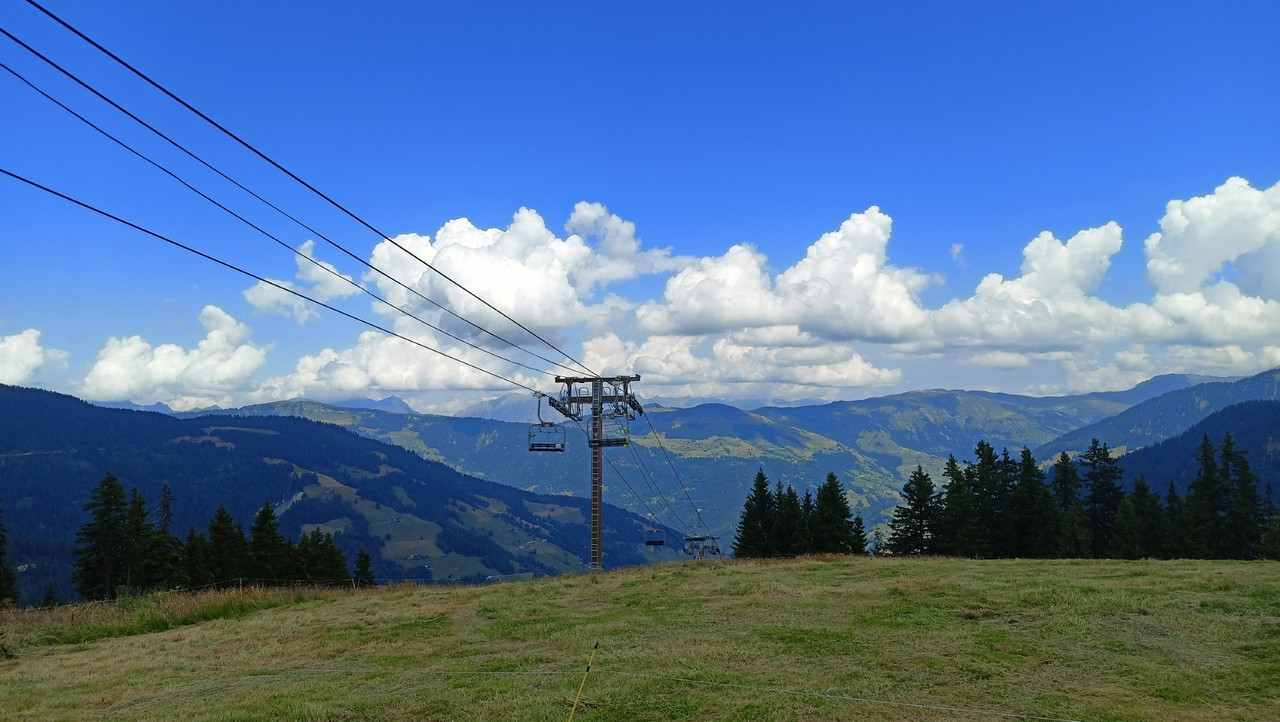 IMG20250713124418 (Large)