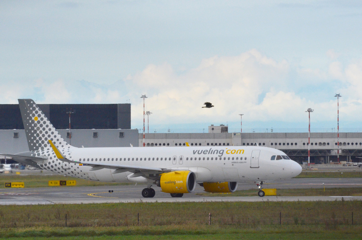 MXP_22 ottobre 2023 (5)