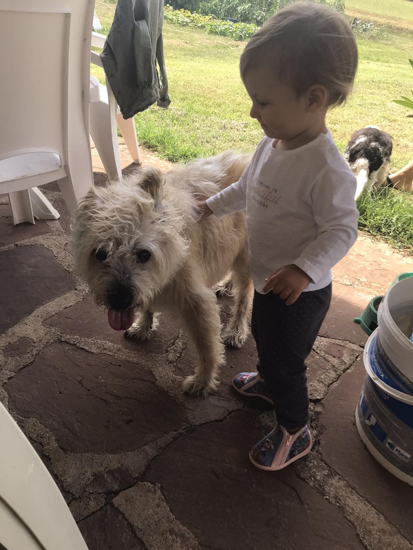 4590B3C1-889B-4101-B04F-2EFE6674DD1C