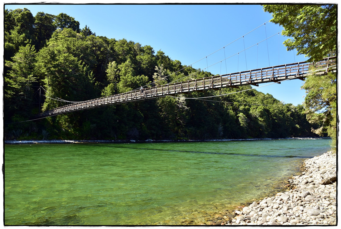 Fiordland NP: Kepler Track (febrero 2022) - Escapadas y rutas por la Nueva Zelanda menos conocida (53)