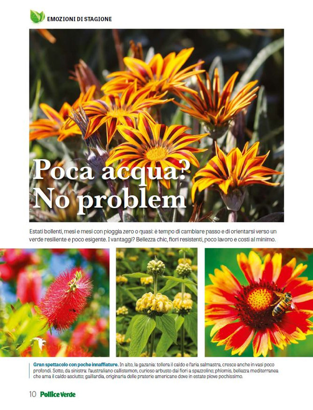 Pol Ver Giu 2025 (5)