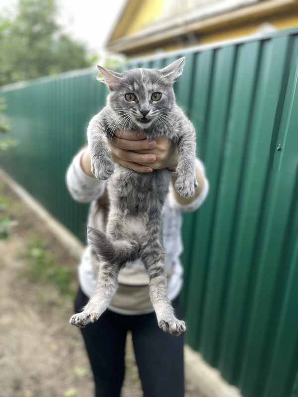 C42DFD43-AF6C-4E40-9173-FEAC34494FB6