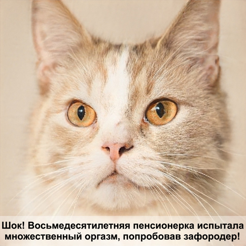 самая большая кошек порода