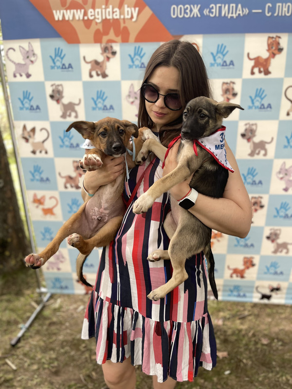 CDF4C0FC-E692-48A5-9B08-AFAD7A9922DF