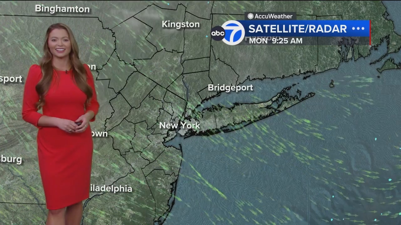Eyewitness News Mornings at 10_20240610_15001600.ts_snapshot_00.15.51.196