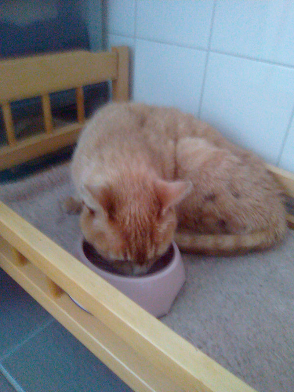 Злата в начале жизни у нас (7)