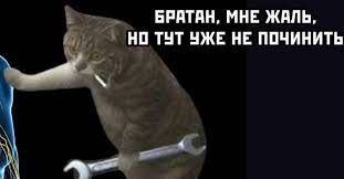 https://i.postimg.cc/440vWr5j/images-18.jpg