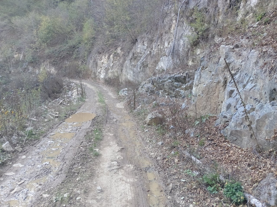 IMG-20241020-145941.jpg