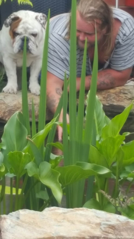 19807875_1866591453603380_1519056016_o