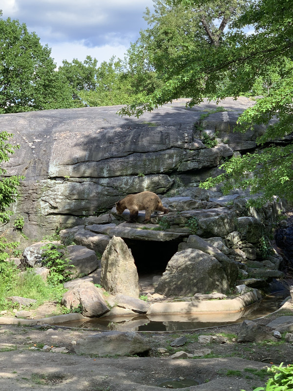 30E3E0CD-D382-476C-8311-AD7044E64DBE